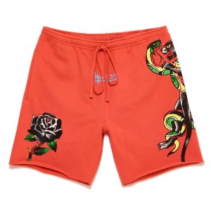 Ed Hardy Panther Short Unterteile Herren Orange | UHRFC-0856