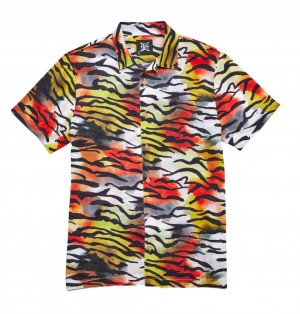 Ed Hardy Printed Camp Ss Shirt Hemd Herren Tiger Print | LTRSF-5716