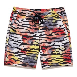 Ed Hardy Tiger Print Short Unterteile Herren Mehrfarbig | OXDAE-5731